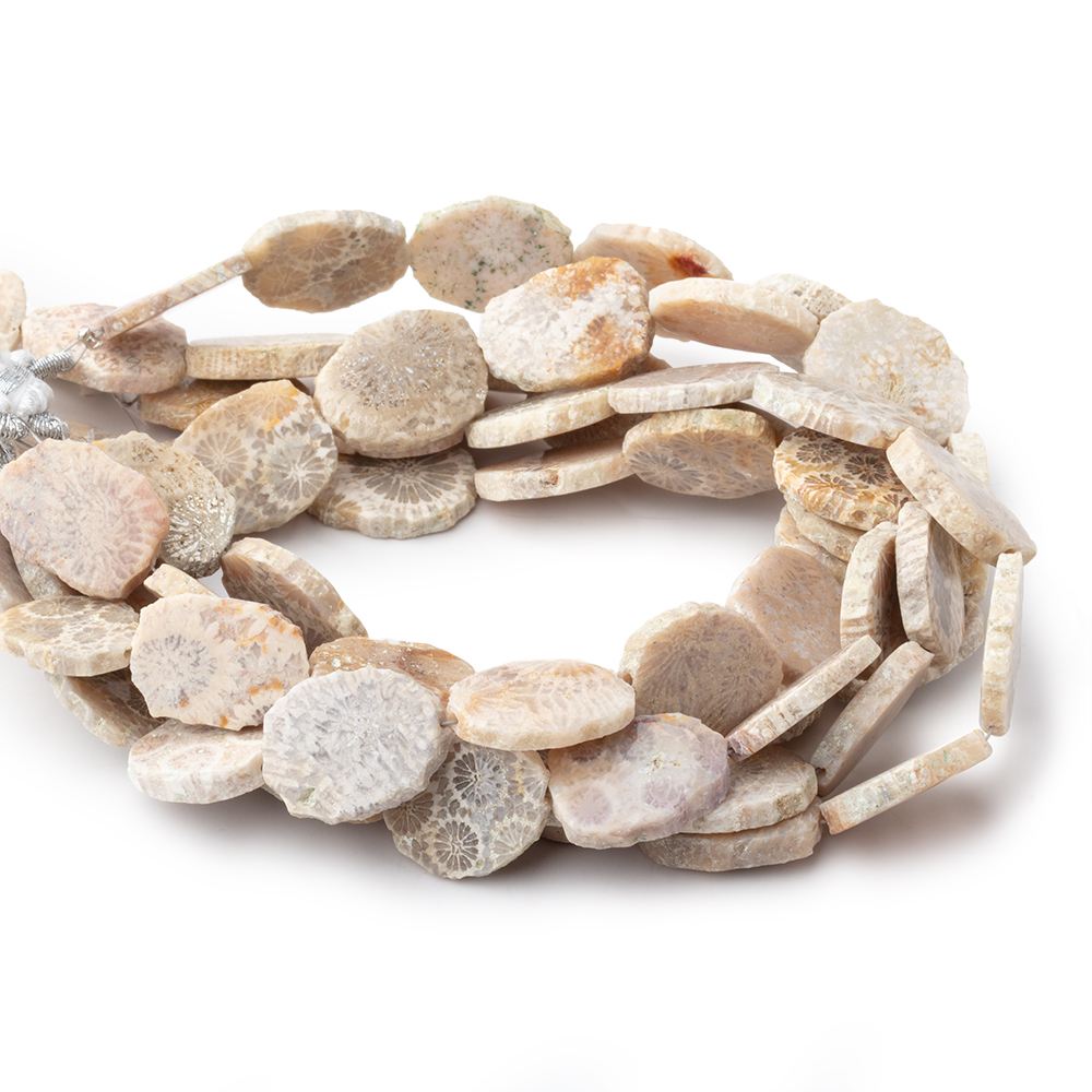 15x12mm Fossil Coral Straight Drilled Slice Beads 8 inch 13 pieces
