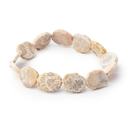 15x12mm Fossil Coral Straight Drilled Slice Beads 8 inch 13 pieces