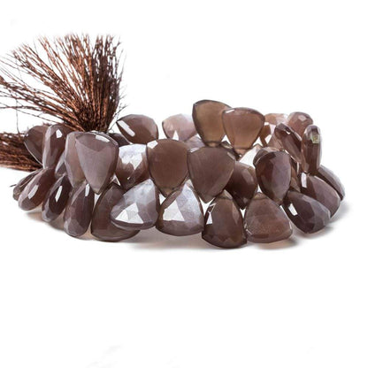 15x13-19x15mm Chocolate Moonstone faceted flat trillion beads 8 inch 36 pcs