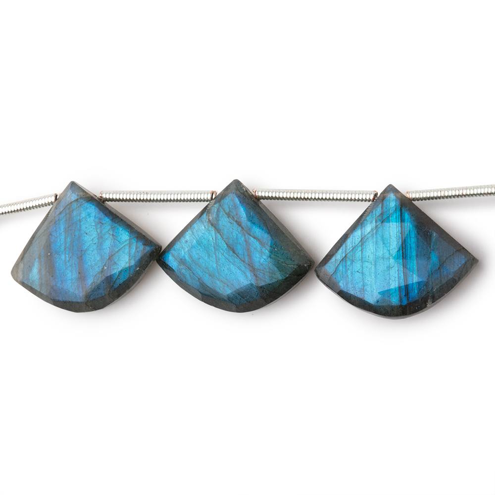 15x18-16x19mm Labradorite Faceted Fan Beads 7 inch 9 pieces