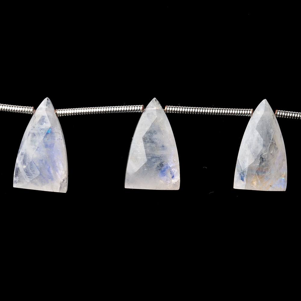 15x9mm Rainbow Moonstone Faceted Triangular Points 6.75 inch 10 Beads