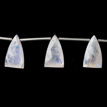 15x9mm Rainbow Moonstone Faceted Triangular Points 6.75 inch 10 Beads