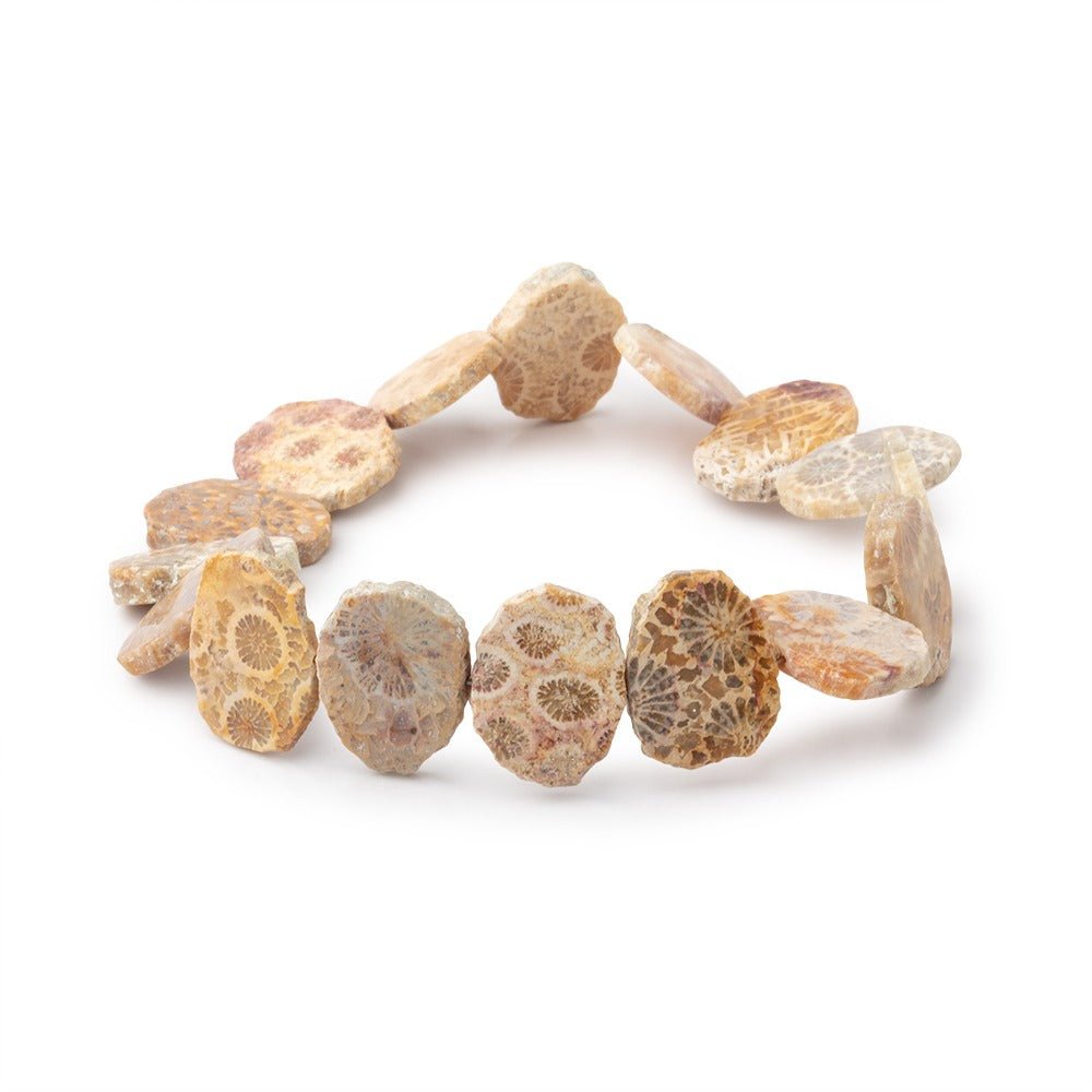 16x12mm Fossil Coral Side Drilled Slice Beads 7 inch 15 pieces