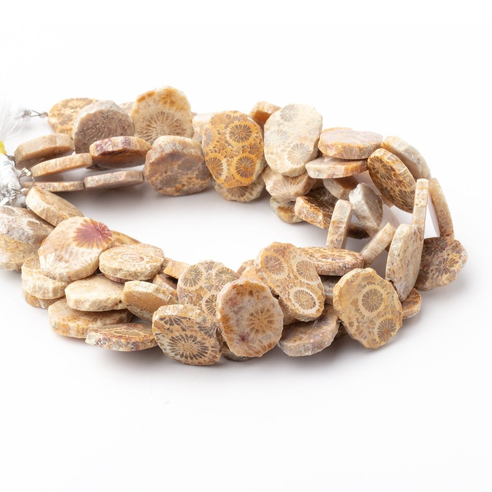 16x12mm Fossil Coral Side Drilled Slice Beads 7 inch 15 pieces