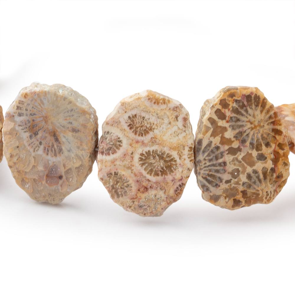 16x12mm Fossil Coral Side Drilled Slice Beads 7 inch 15 pieces