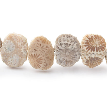 16x12mm Fossil Coral Side Drilled Slice Beads 7.5 inch 16 pieces