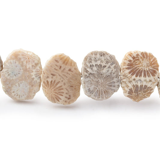16x12mm Fossil Coral Side Drilled Slice Beads 7.5 inch 16 pieces