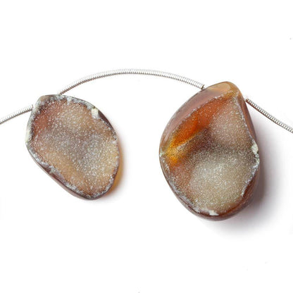 17x10-30x22mm Tortoise Shell Agate Drusy Freeform Beads 11 pieces