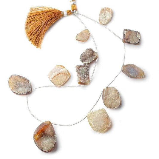 17x10-30x22mm Tortoise Shell Agate Drusy Freeform Beads 11 pieces