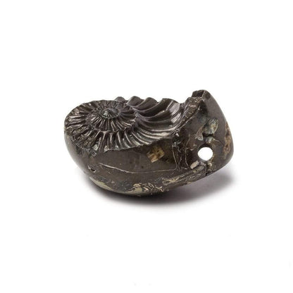 17x26mm Pyritized Ammonite  Fossil Focal Bead