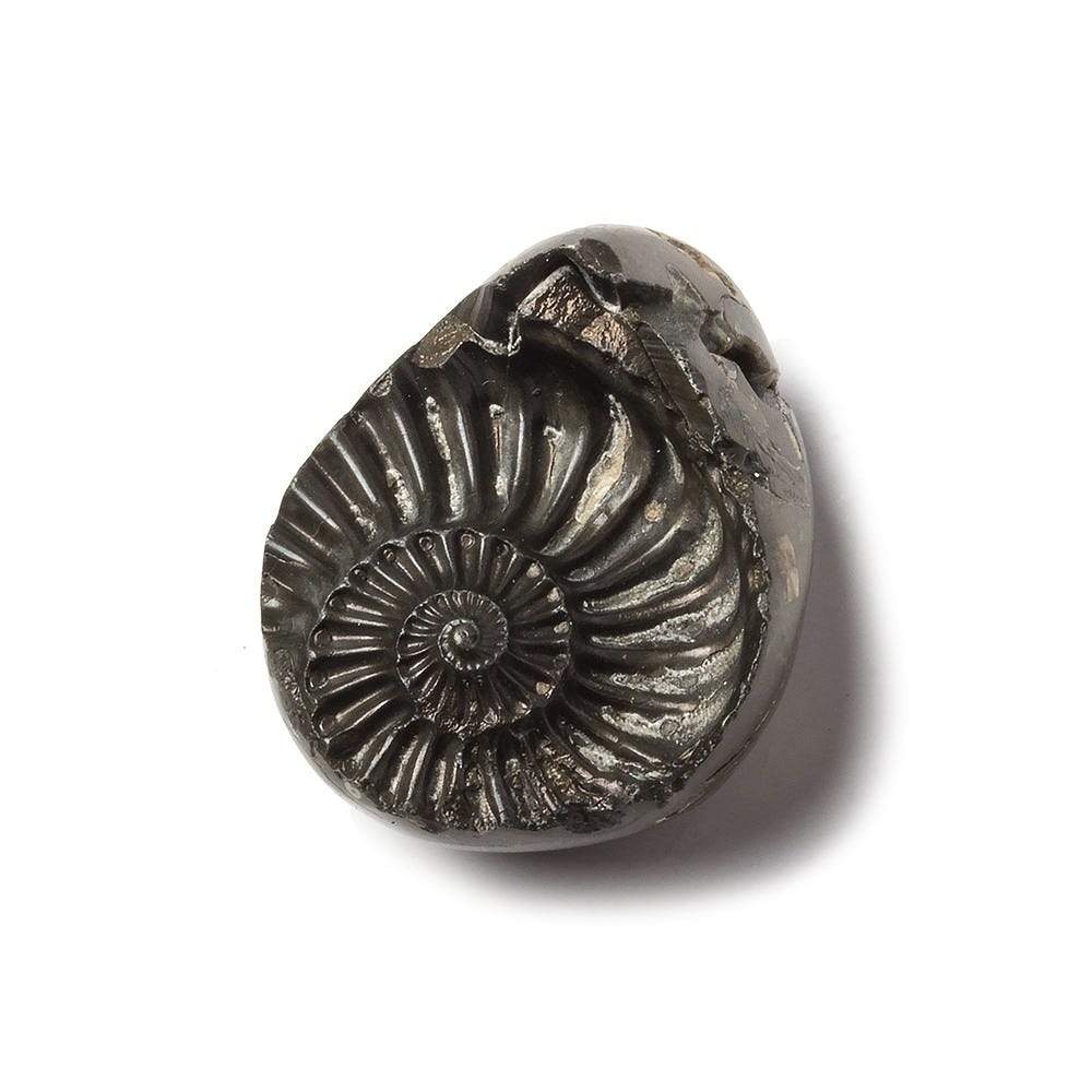 17x26mm Pyritized Ammonite  Fossil Focal Bead