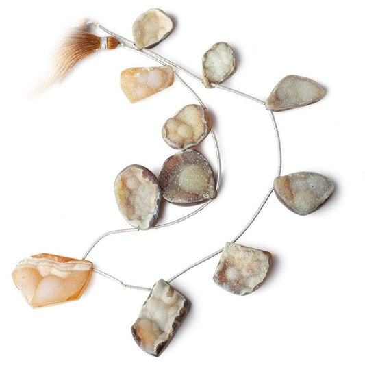 18x13-34x22mm Toffee Agate Drusy Freeform Beads 11 pieces