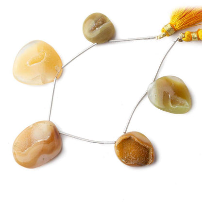 18x17-27x21mm Creme Brulee Yellow Agate Drusy Freeform Beads 5 pieces