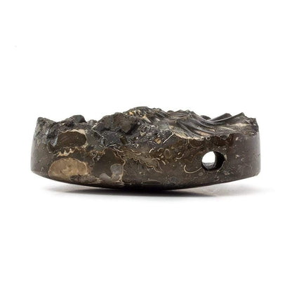 18x39mm Pyritized Ammonite Fossil Focal Bead