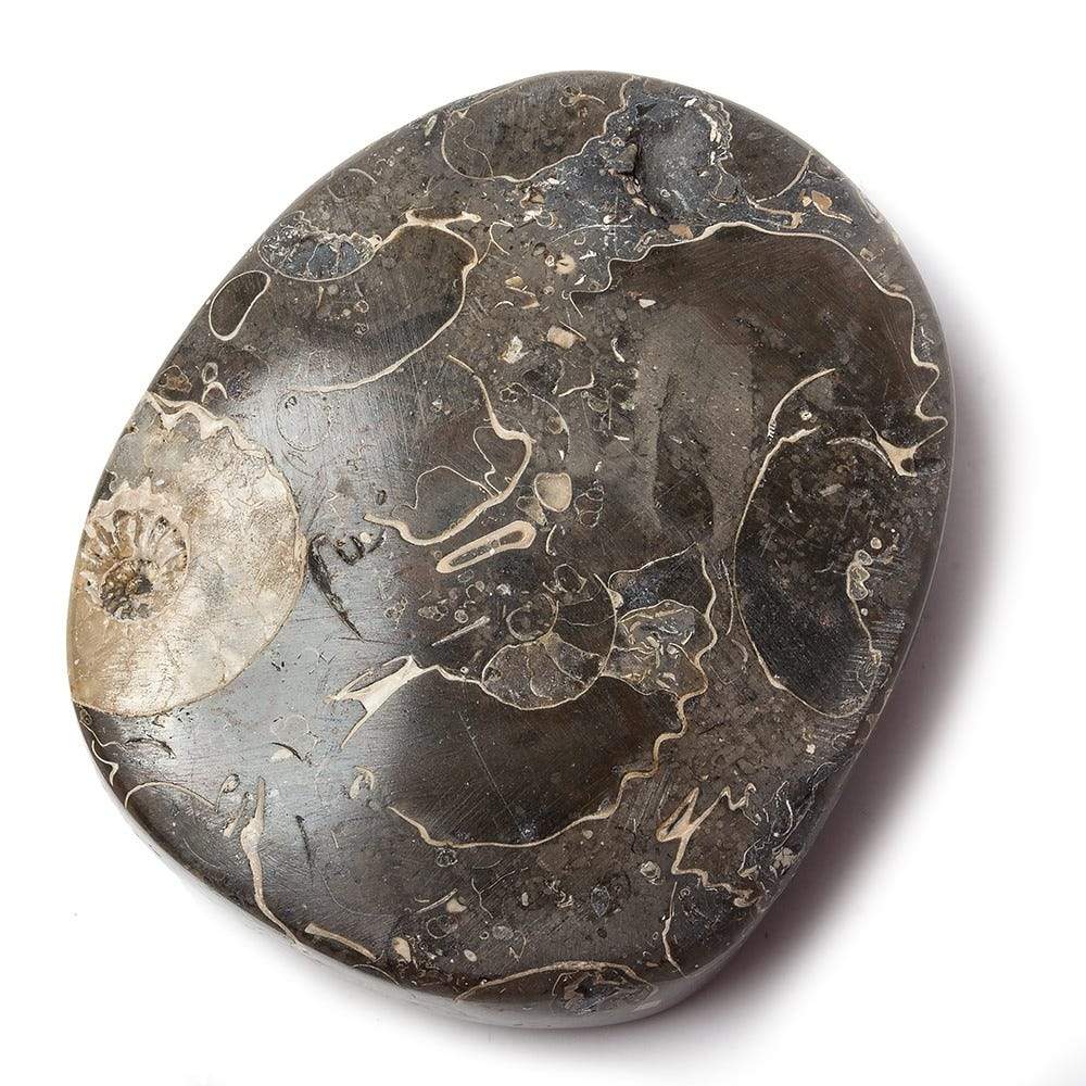 18x39mm Pyritized Ammonite Fossil Focal Bead