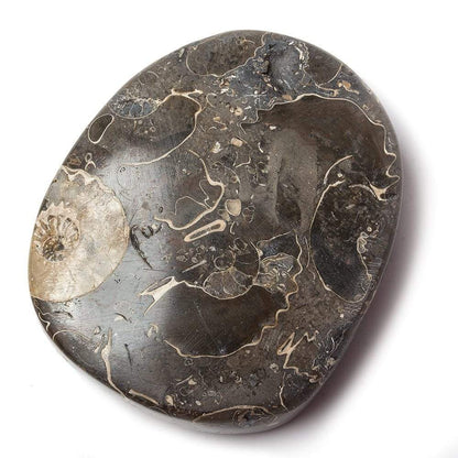 18x39mm Pyritized Ammonite Fossil Focal Bead