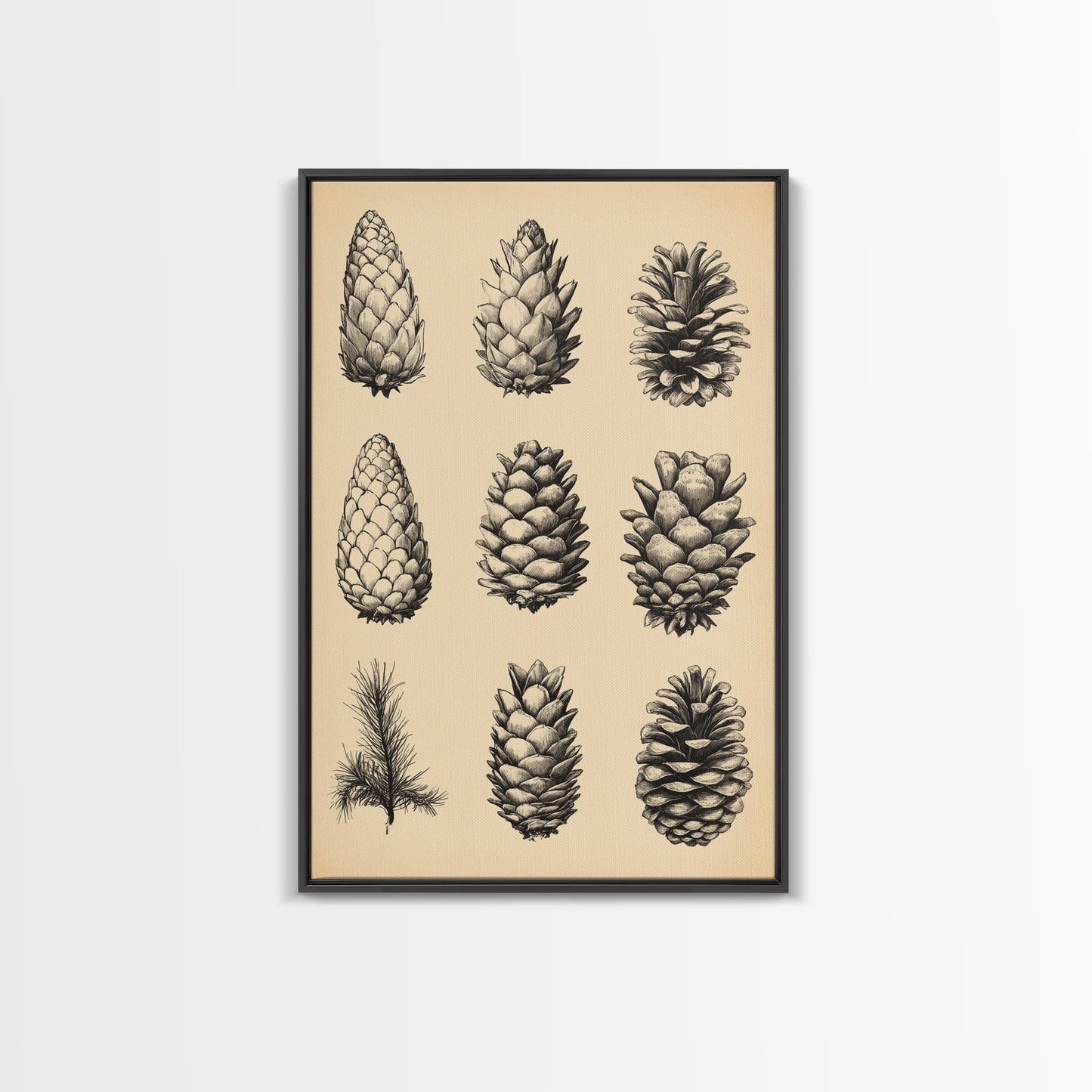 Vintage Pinecones Canvas Print - Framed Canvas - Minimalist Christmas Art - Boho Christmas Art - Rustic Christmas Art