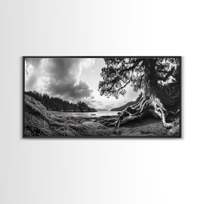 Coastal Tree Roots, Ancient Forest Shore, Pacific Northwest Nature, Moody Black and White Canvas Print, Cabin Wall Art, Woodland Style