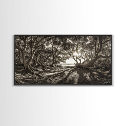 Verzauberter Wald – Licht, Baumschatten, Naturlandschaft, gerahmter Leinwanddruck, rustikale Wandkunst, Walddeko für den Eingangsbereich, Boho-Walddruck