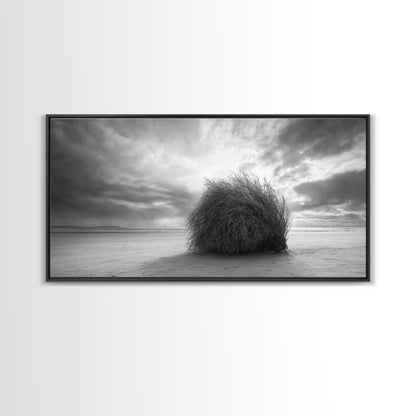Tumbleweed, Desert Beach, Moody Sky, Solitary Calm, Framed Canvas Print, minimalist desert wall art, western Fall decor, neutral tones