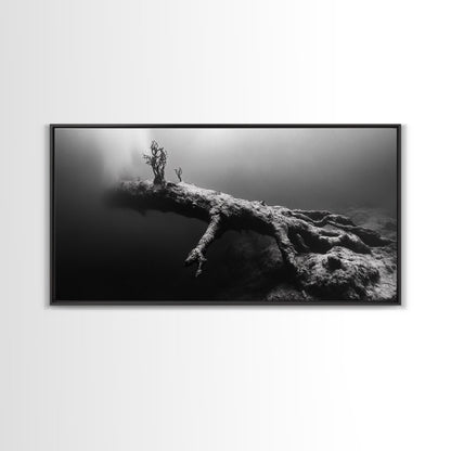 Underwater Tree, Ocean Roots, Nature Surrealism, Canvas Print, Moody Nautical Decor, Bathroom Wall Art, Black And White Abstract Art