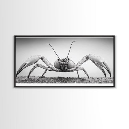 Crab Art, Beach Creature, Monochrome Photography, Nature Close-Up, Framed Canvas Print, Coastal Bathroom Art, Marine Home Style