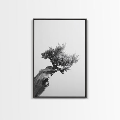 Bonsai Tree, Windswept Wood, Minimal Zen, Canvas Print, Japanese Style Art, Wabi Sabi Decor, Monochrome Botanical Wall Accent
