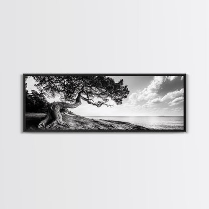 Coastal Tree, Wind Bent, Seaside Beauty, Nautical Serenity, Canvas Print, Nature Wall Art, Minimalist Decor, Coastal Living Room Art