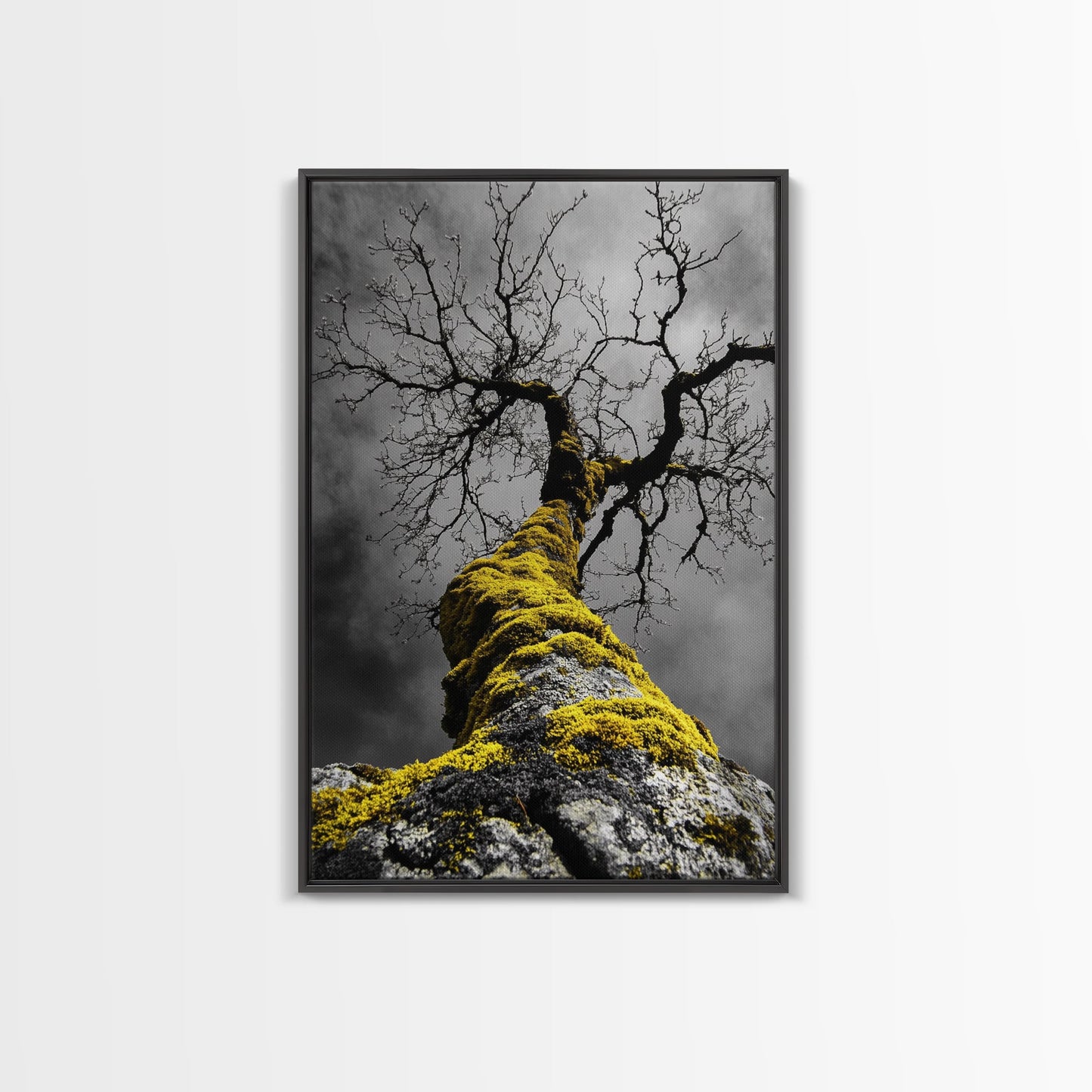 Moss Covered Tree, Dramatic Nature Scene, Autumn Forest Decor, Moody Woodland Art, Framed Canvas Print, Rustic Living Room Wall Art