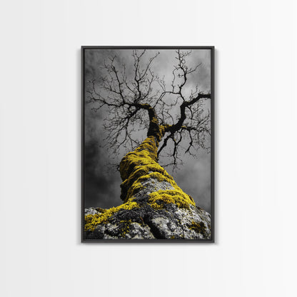 Moss Covered Tree, Dramatic Nature Scene, Autumn Forest Decor, Moody Woodland Art, Framed Canvas Print, Rustic Living Room Wall Art