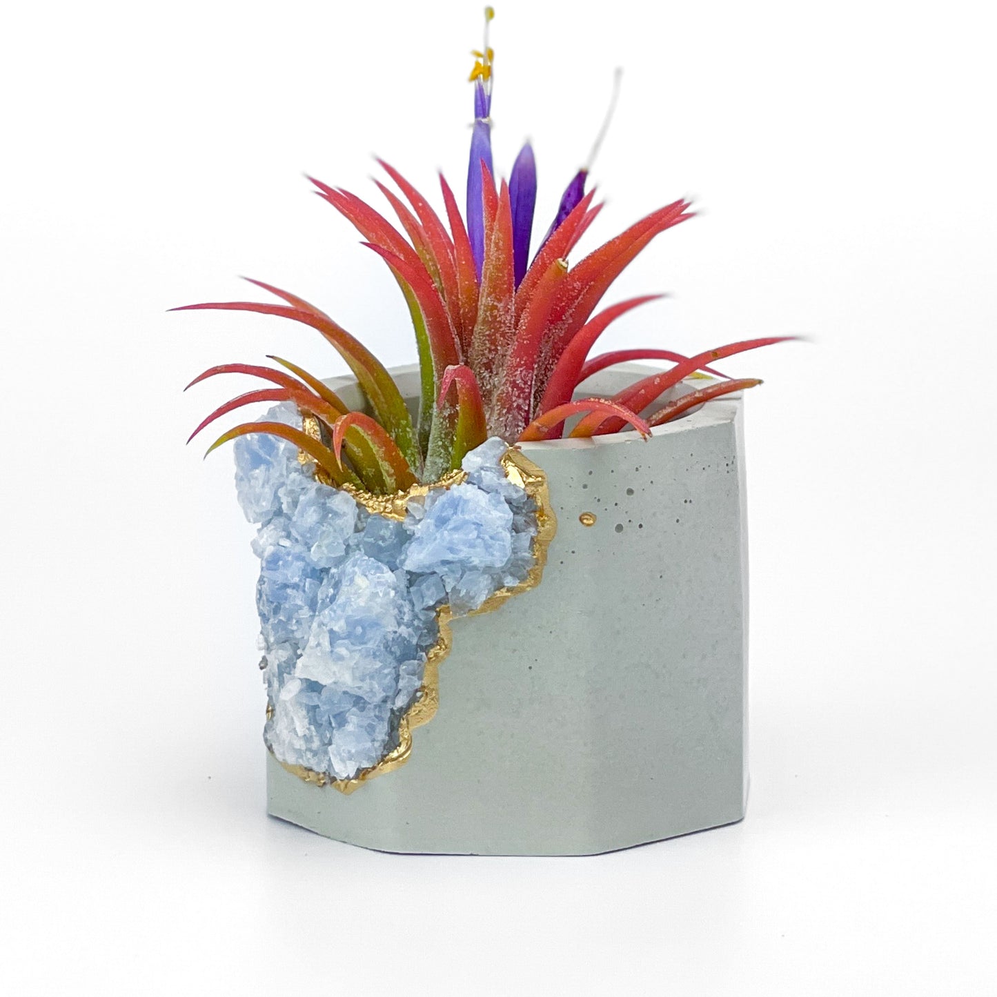 BLUE CALCITE GEODE PLANTER