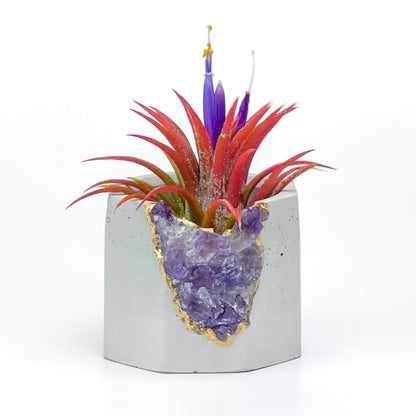 Brazil AMETHYST GEODE PLANTER