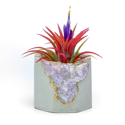 Madagascar AMETHYST GEODE PLANTER
