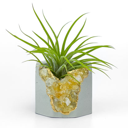 Raw CITRINE GEODE PLANTER