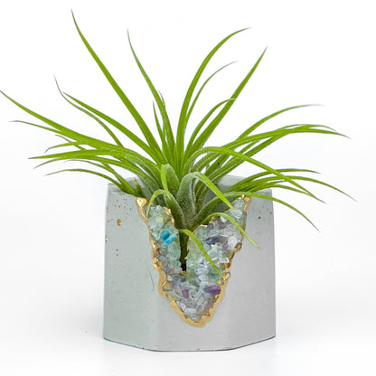 FLUORITE GEODE PLANTER