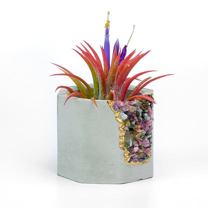TOURMALINE GEODE PLANTER
