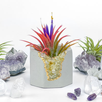 CITRINE GEODE PLANTER