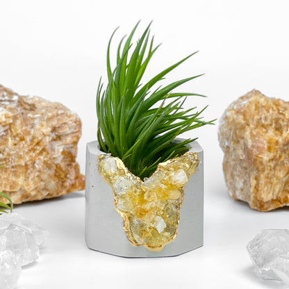 Raw CITRINE GEODE PLANTER