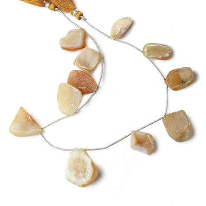21x12-28x23mm Sandy Blonde Agate Drusy Freeform Beads 11 pieces
