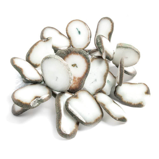 21x16-27x22mm Mocha Edged Solar Quartz Top Drilled Slices 7 inch 29 beads