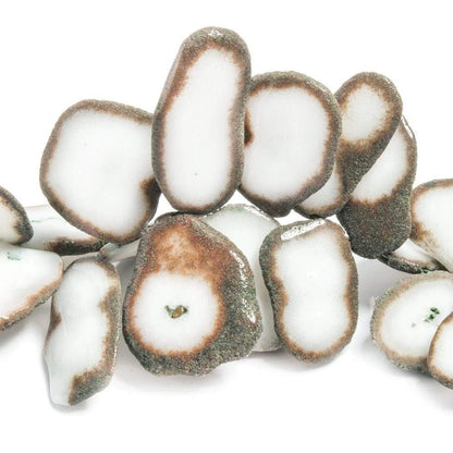 21x16-27x22mm Mocha Edged Solar Quartz Top Drilled Slices 7 inch 29 beads