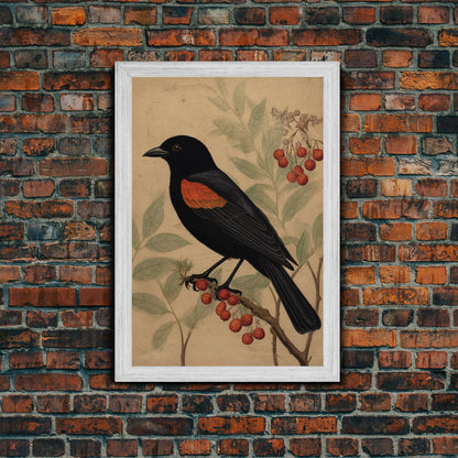 Black And Orange Bird Wall Art, Oriole Wall Decor, Animal Wall Art, Minimalist Print, Wall Decor, Canvas Print, Wall Art, Framed Canvas