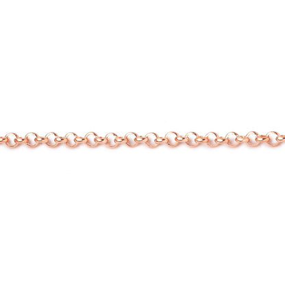 3 Feet - 2.5mm Rolo Link Chain