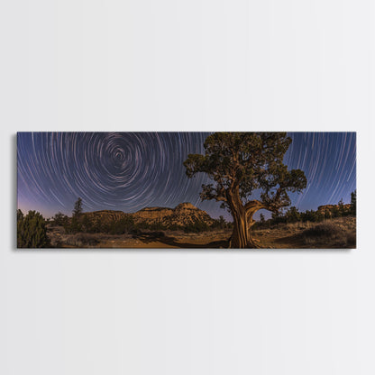 Time Lapse Photography Style Print, Panoramic Wall Art, Starry Night Sky Photo Print, Joshua Tree