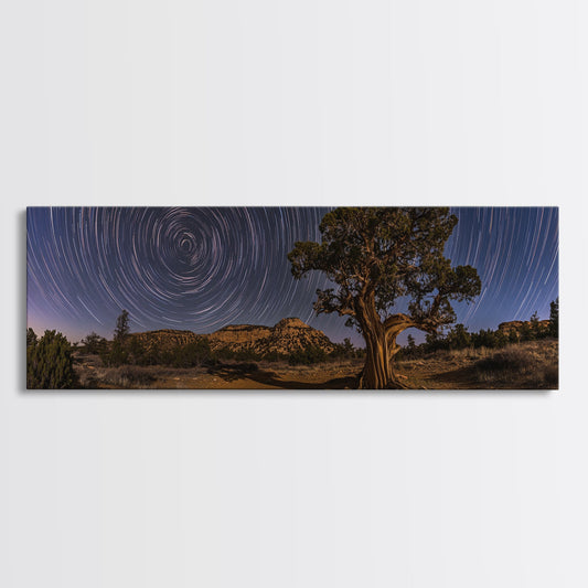 Time Lapse Photography Style Print, Panoramic Wall Art, Starry Night Sky Photo Print, Joshua Tree
