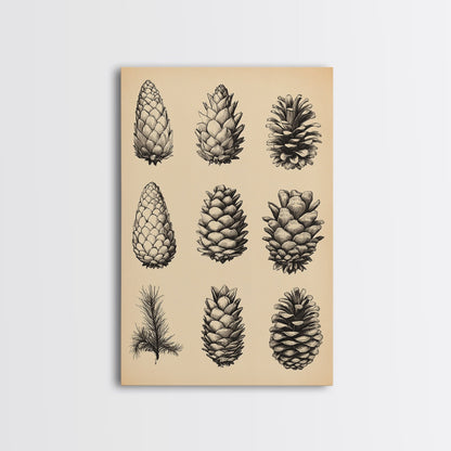 Vintage Pinecones Canvas Print - Framed Canvas - Minimalist Christmas Art - Boho Christmas Art - Rustic Christmas Art
