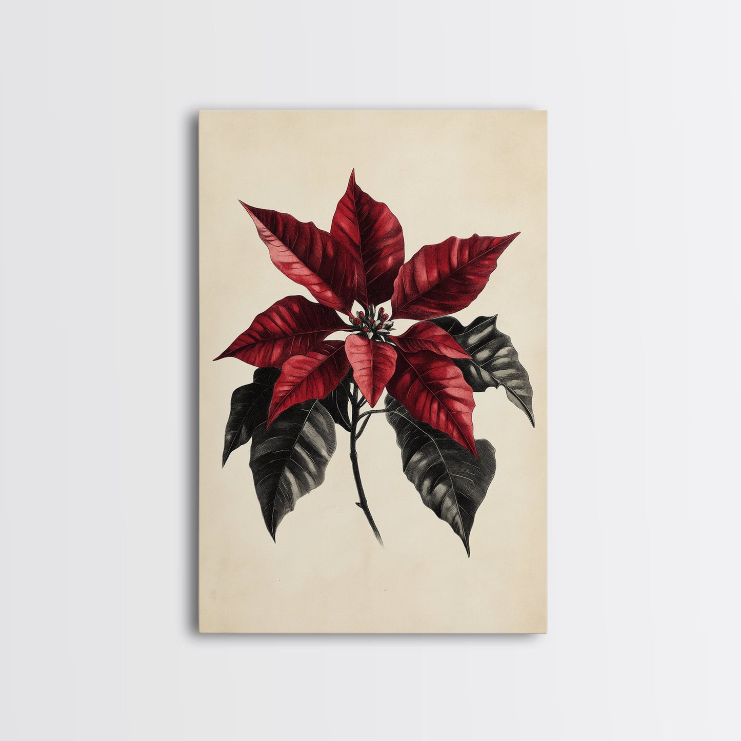 Christmas Poinsetta Canvas Print - Framed Canvas - Minimalist Christmas Art - Boho Christmas Art - Rustic Christmas Art