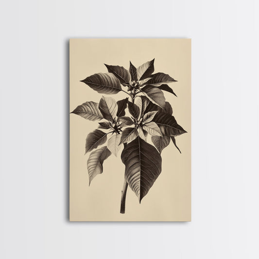 Vintage Poinsetta Canvas Print - Framed Canvas - Minimalist Christmas Art - Boho Christmas Art - Rustic Christmas Art