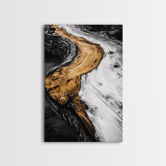 Driftwood, Rustic Nature Art, Framed Canvas Print, Black and White Photography, Earthy Tones, Beach House Decor, Minimalist Home Art