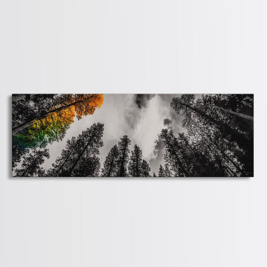 Autumn Tree, Monochrome Forest, Color Pop Art, Nature Wall Decor, Modern Wall Art, Framed Canvas Print, Large Canvas, Dining Room Decor